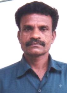 MADA photo
