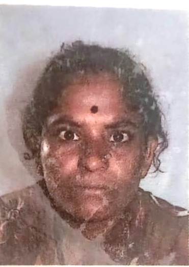 DEVAKKA GUGGARI photo