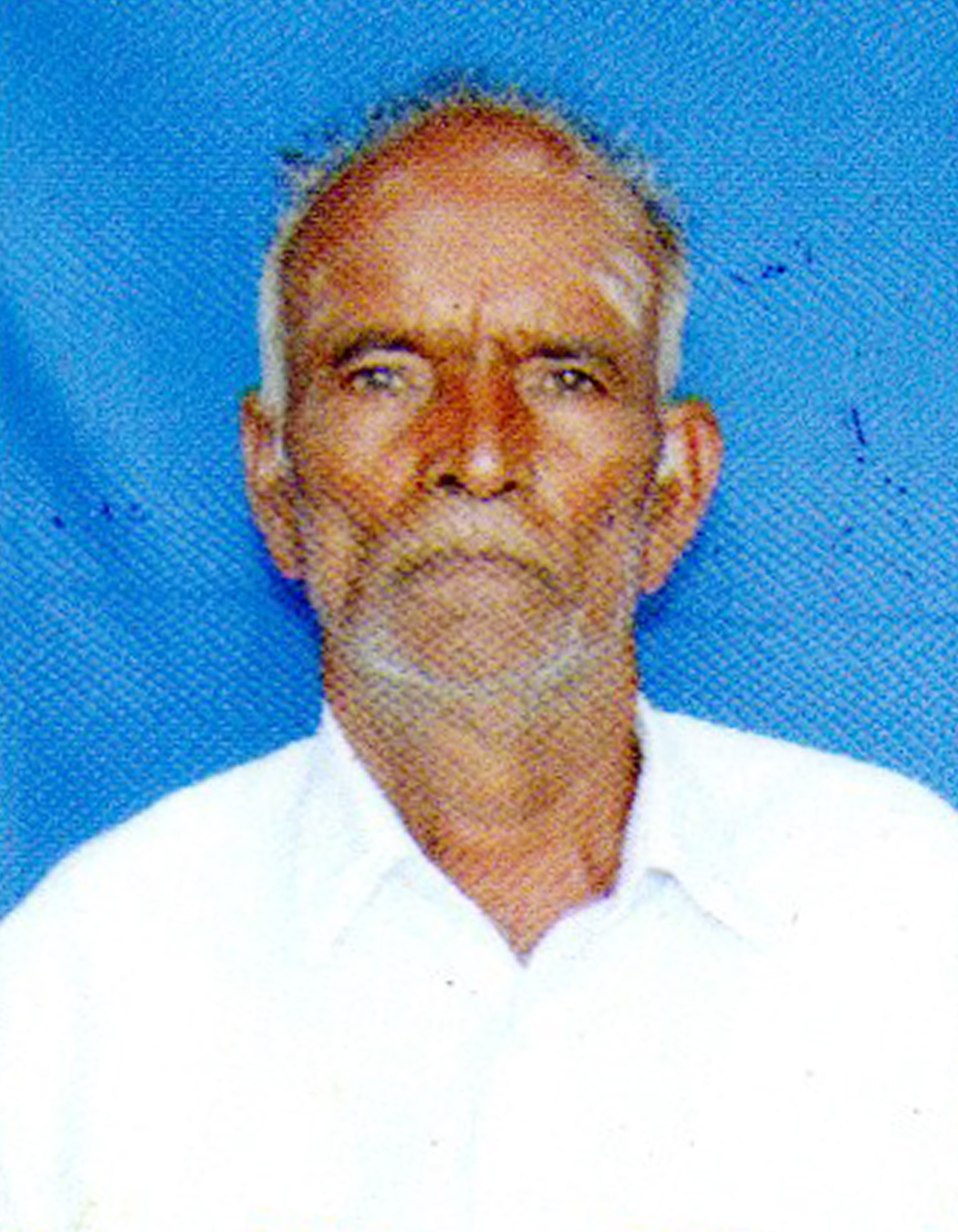 B T SIDDEGOWDA photo