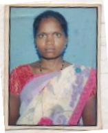 VADDE SANNA THIMMAKKA photo