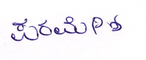 Candidate Signature