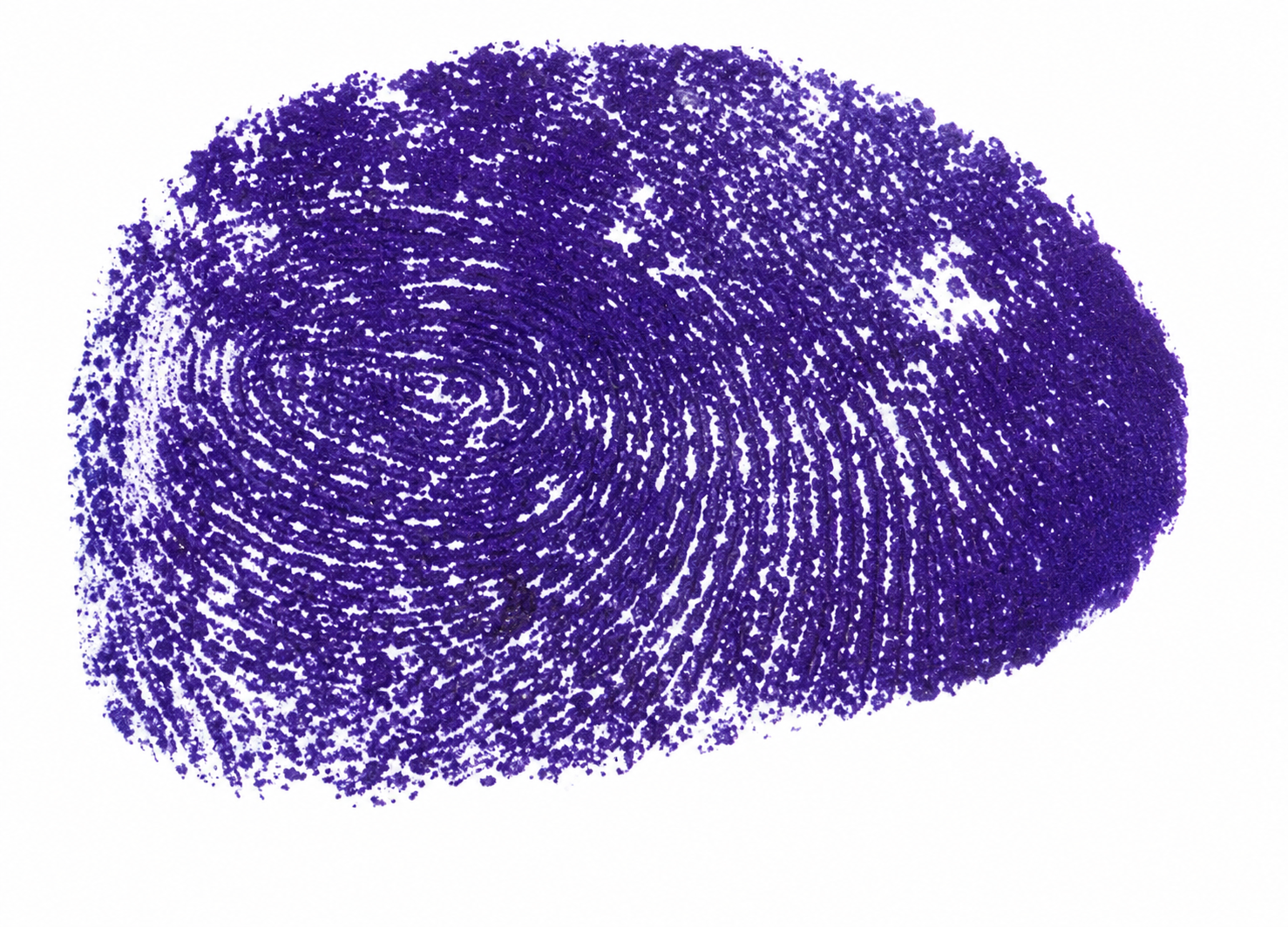 Signature preview