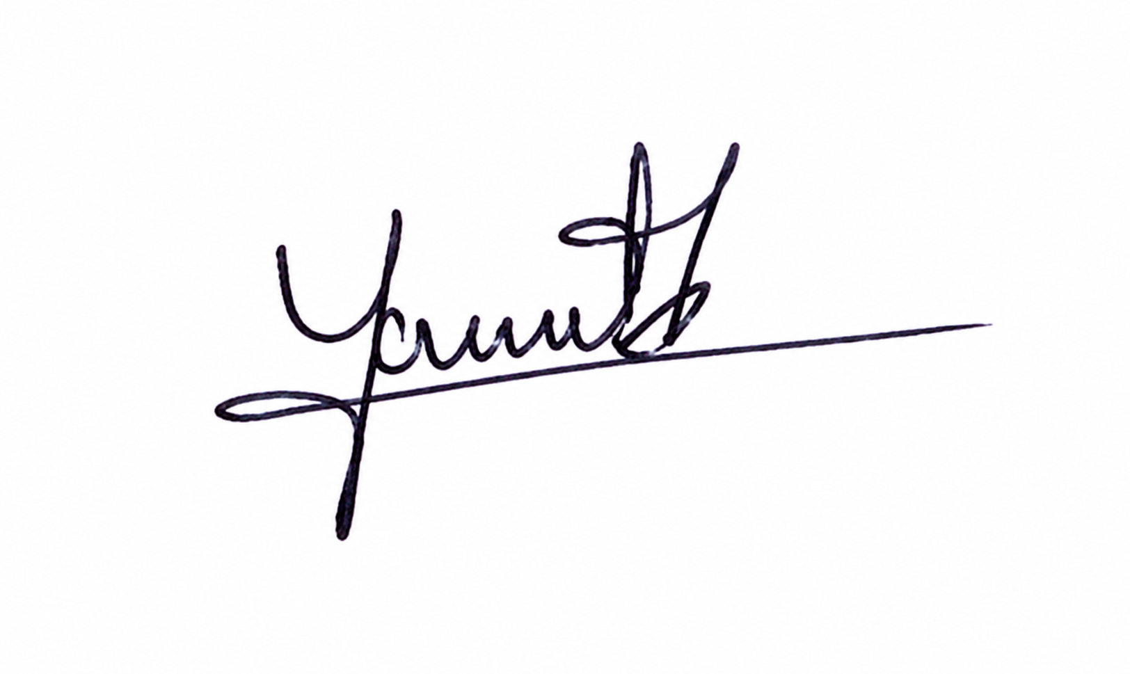 Signature preview