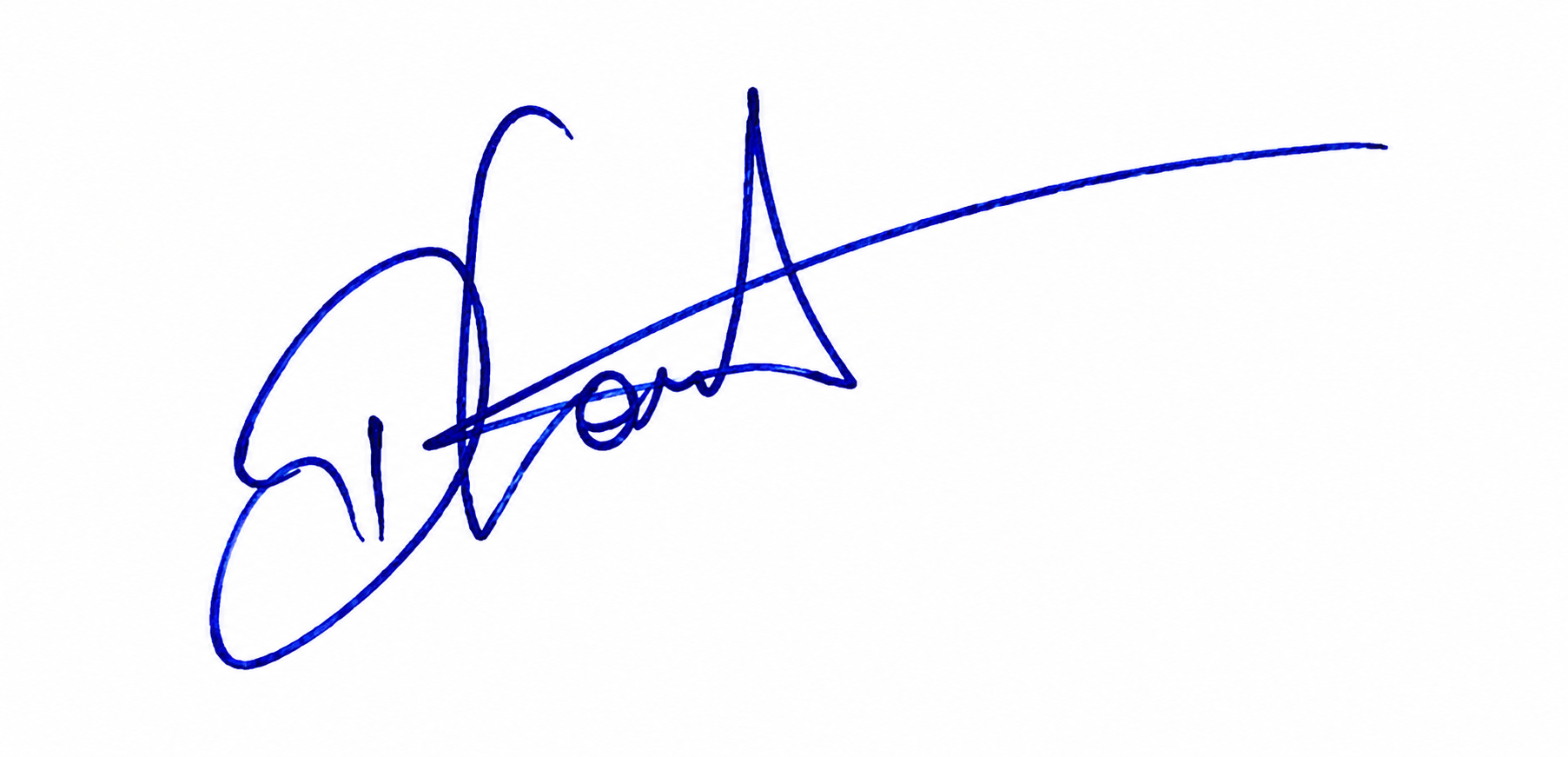 Signature preview