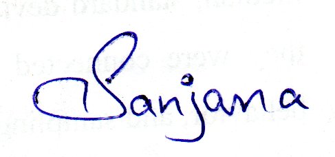 Signature preview