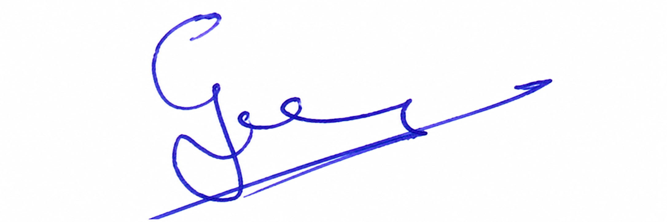 Signature preview