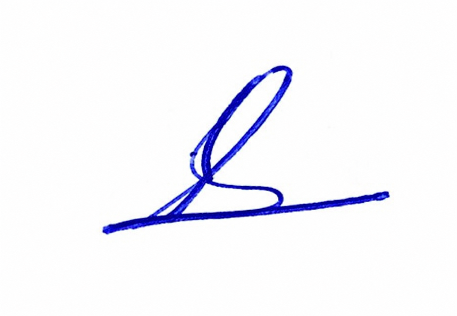 Signature preview