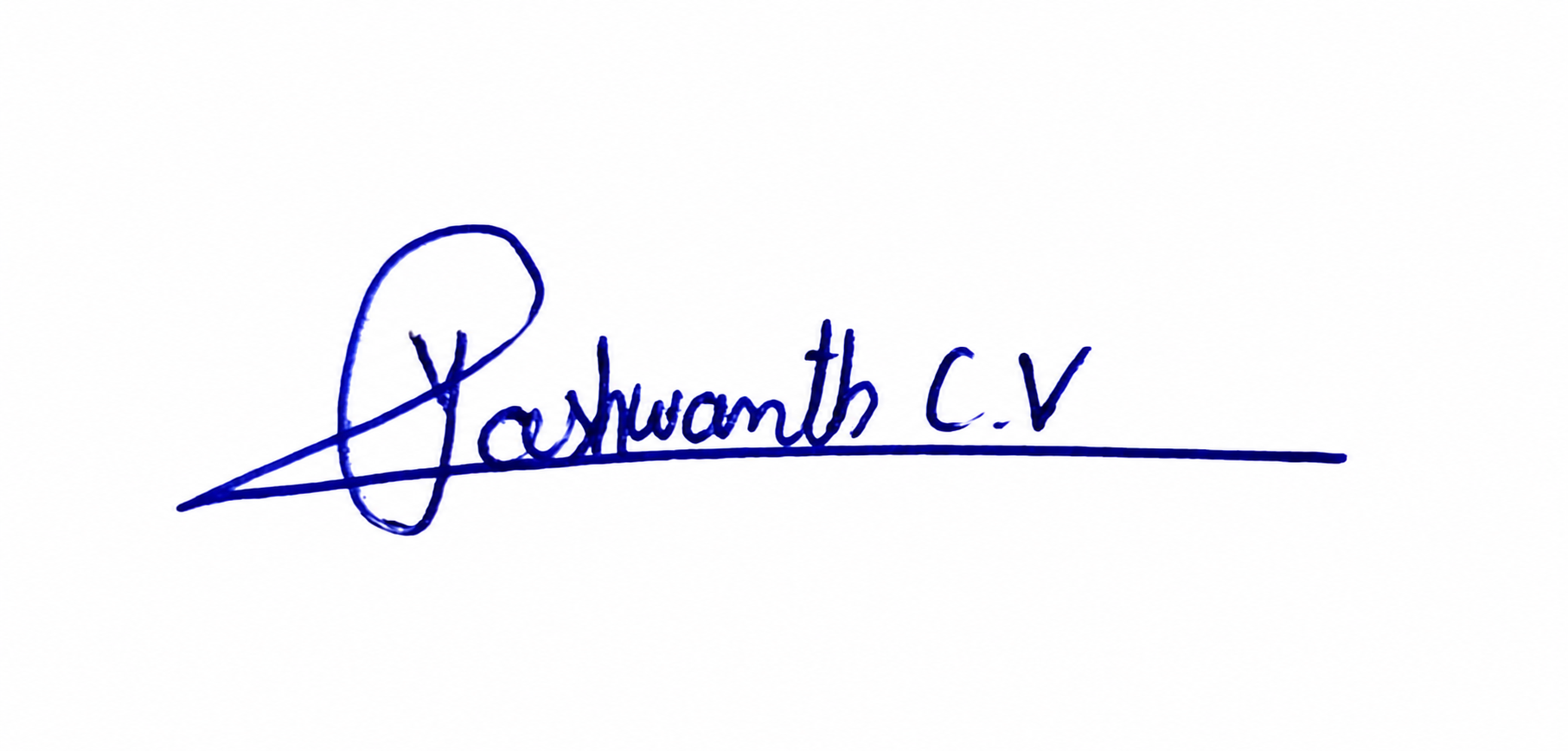 Signature preview
