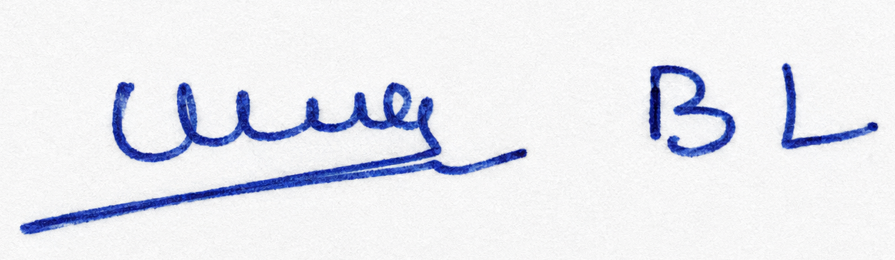 Signature preview