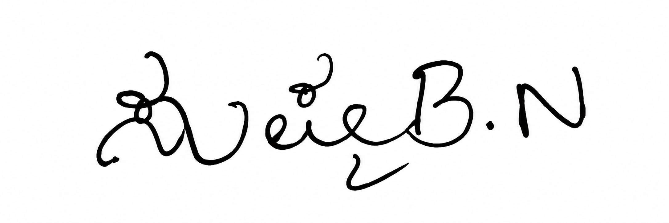 Signature preview