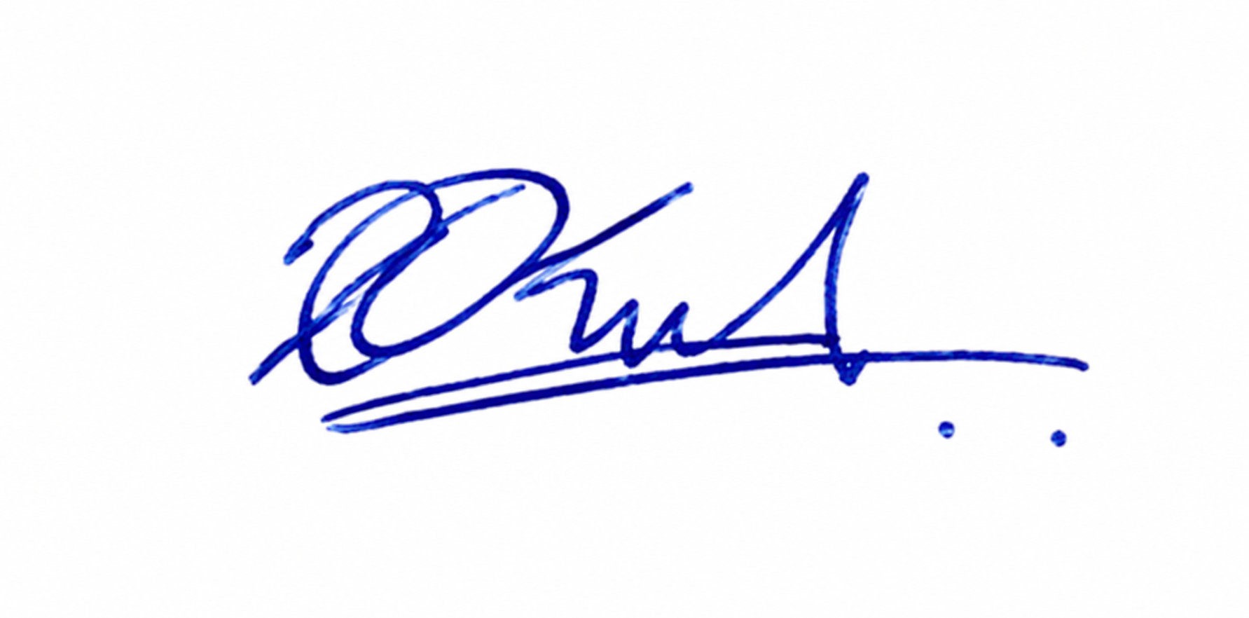 Signature preview