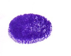 Signature preview