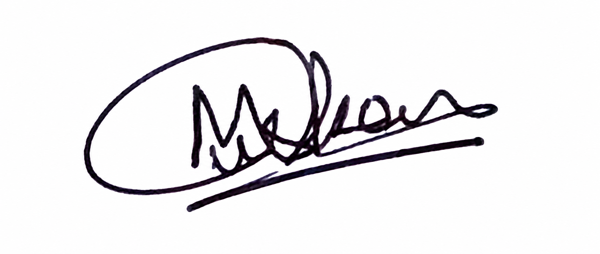 Signature preview