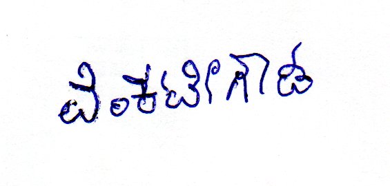 Signature preview
