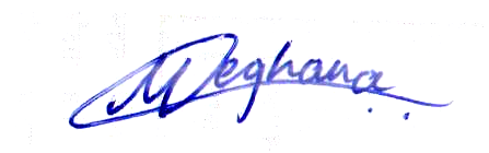 Signature preview