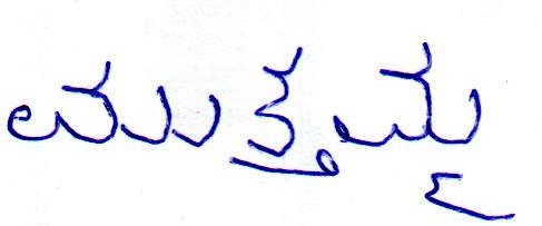 Signature preview