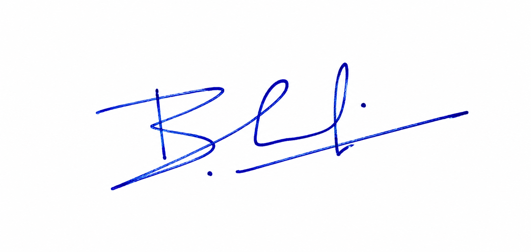 Signature preview