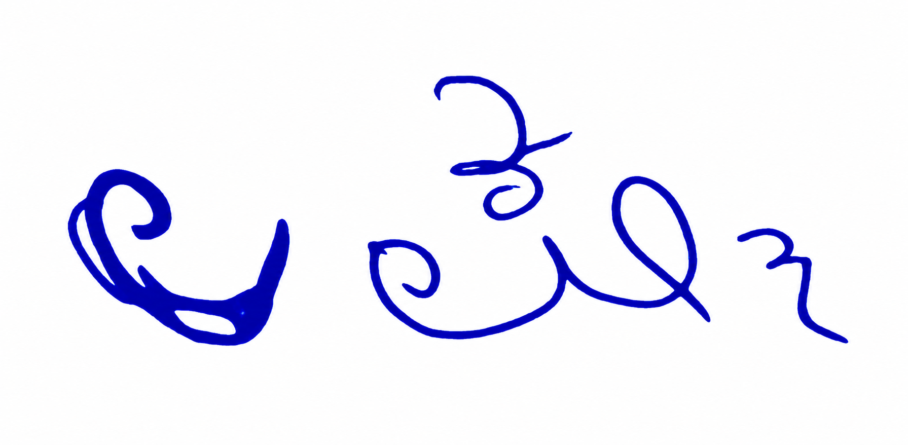 Signature preview