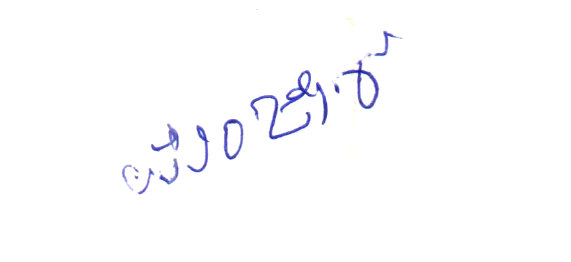 Signature preview