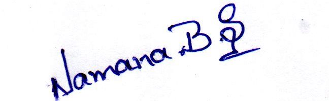 Signature preview