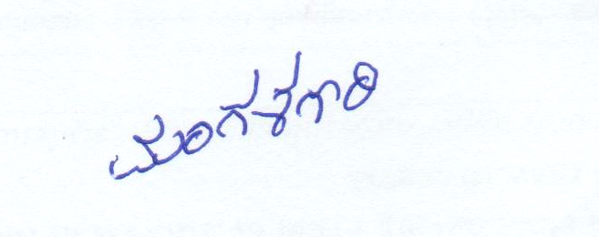 Signature preview