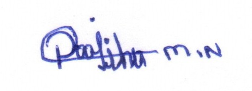 Signature preview