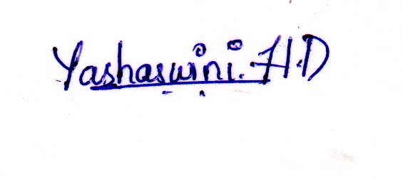 Signature preview