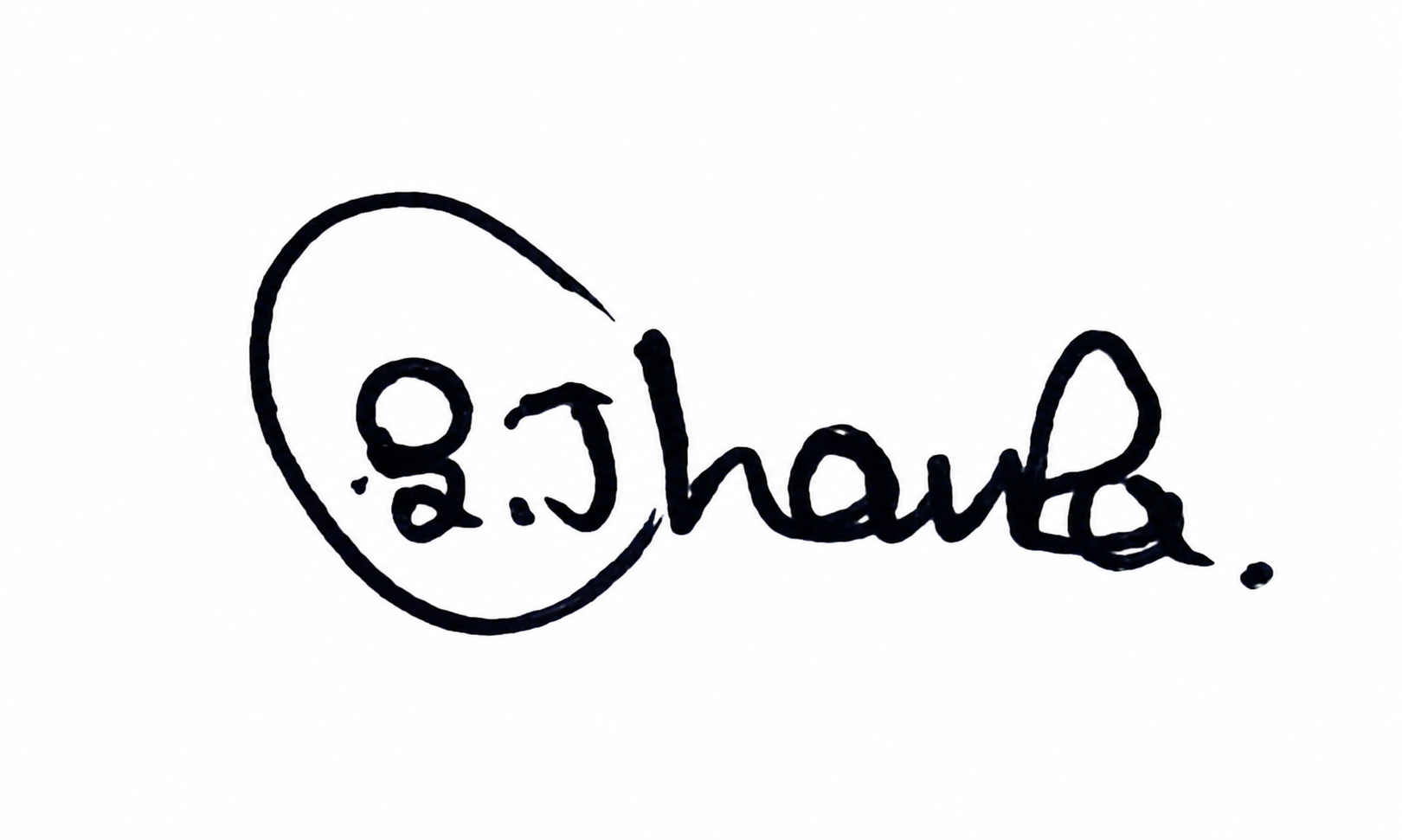 Signature preview