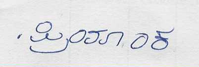 Signature preview