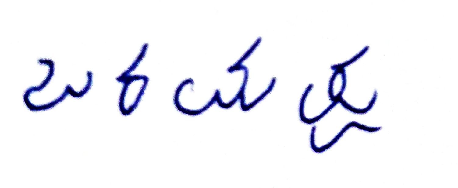 Signature preview