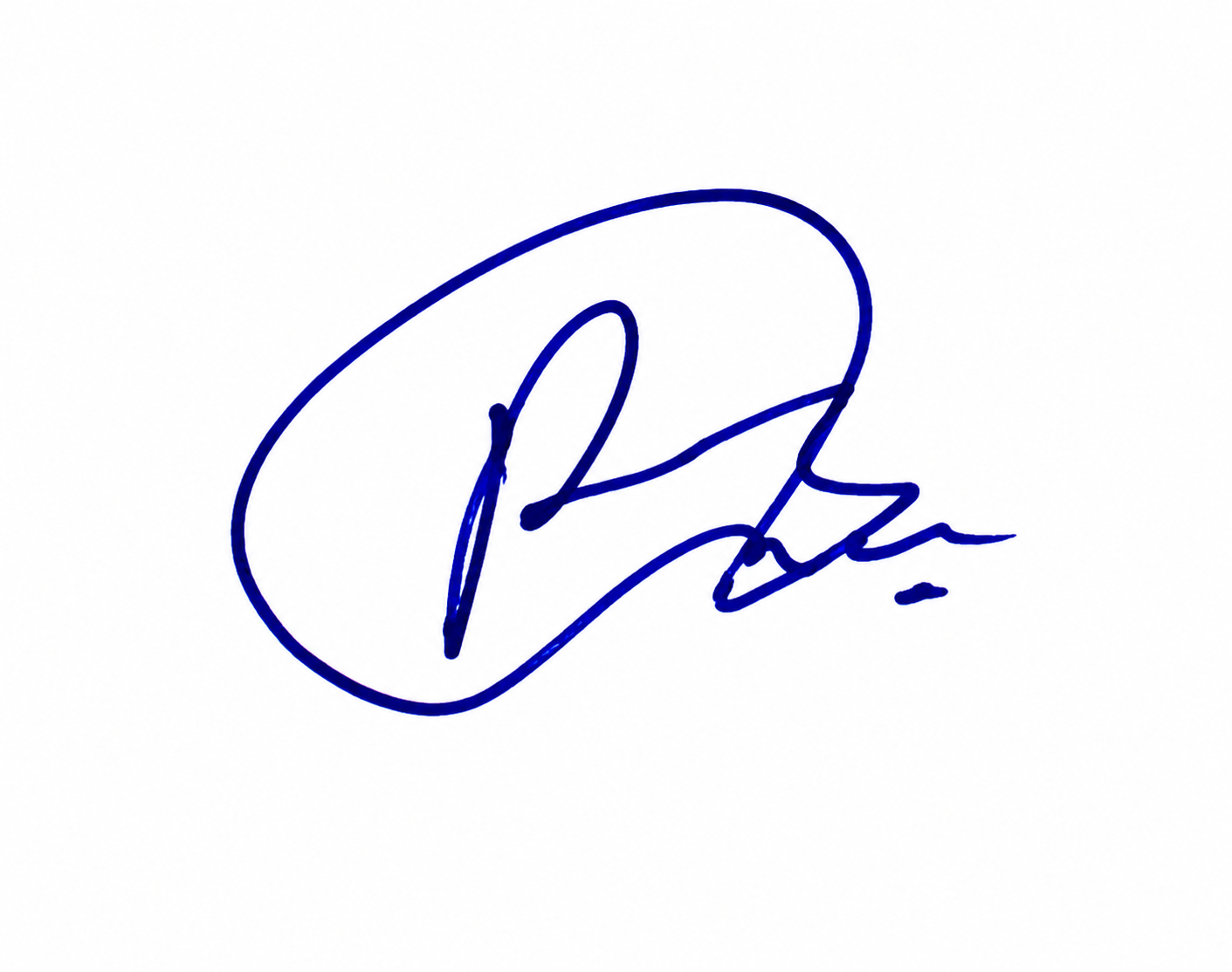 Signature preview