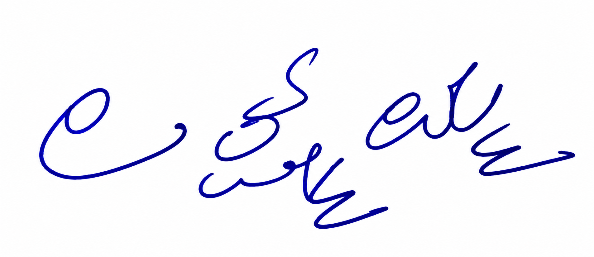 Signature preview
