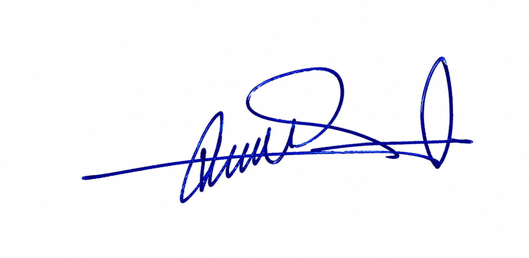 Signature preview