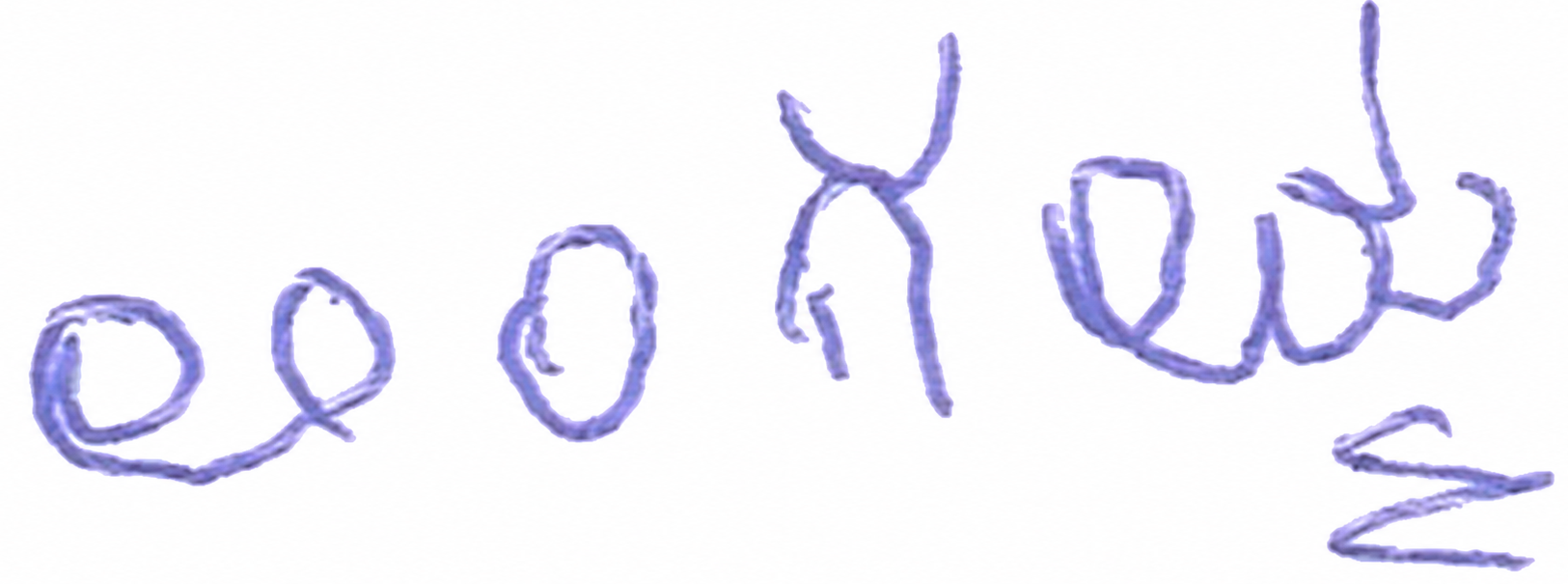 Signature preview