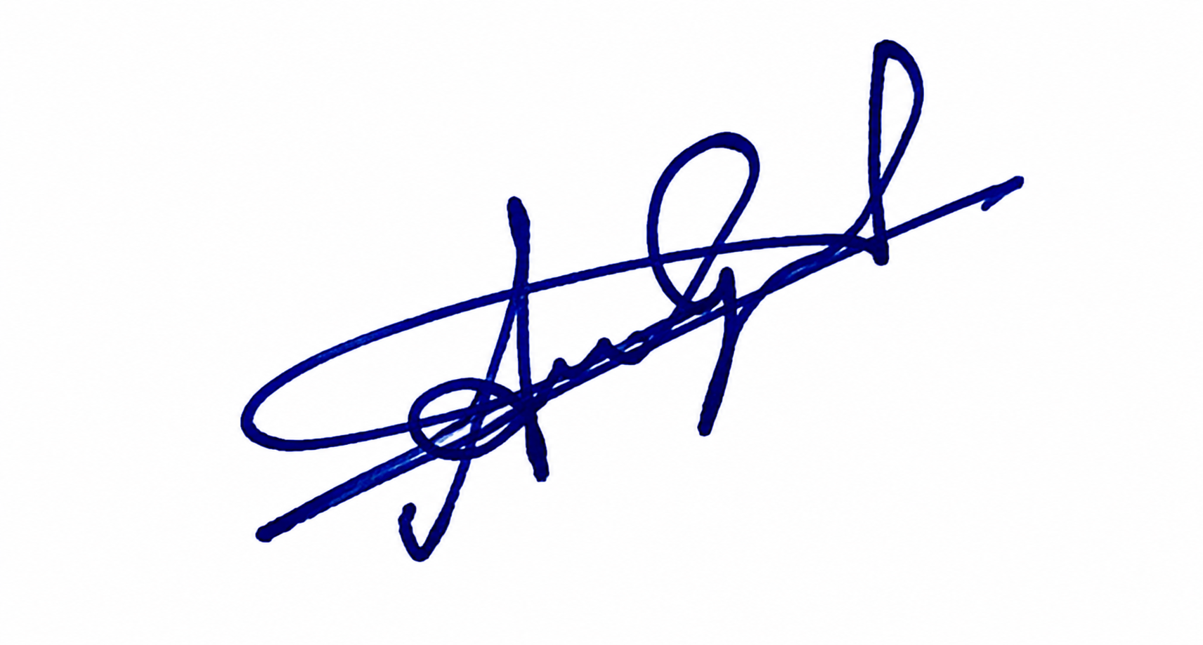 Signature preview