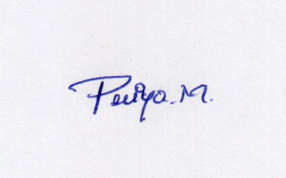 Signature preview