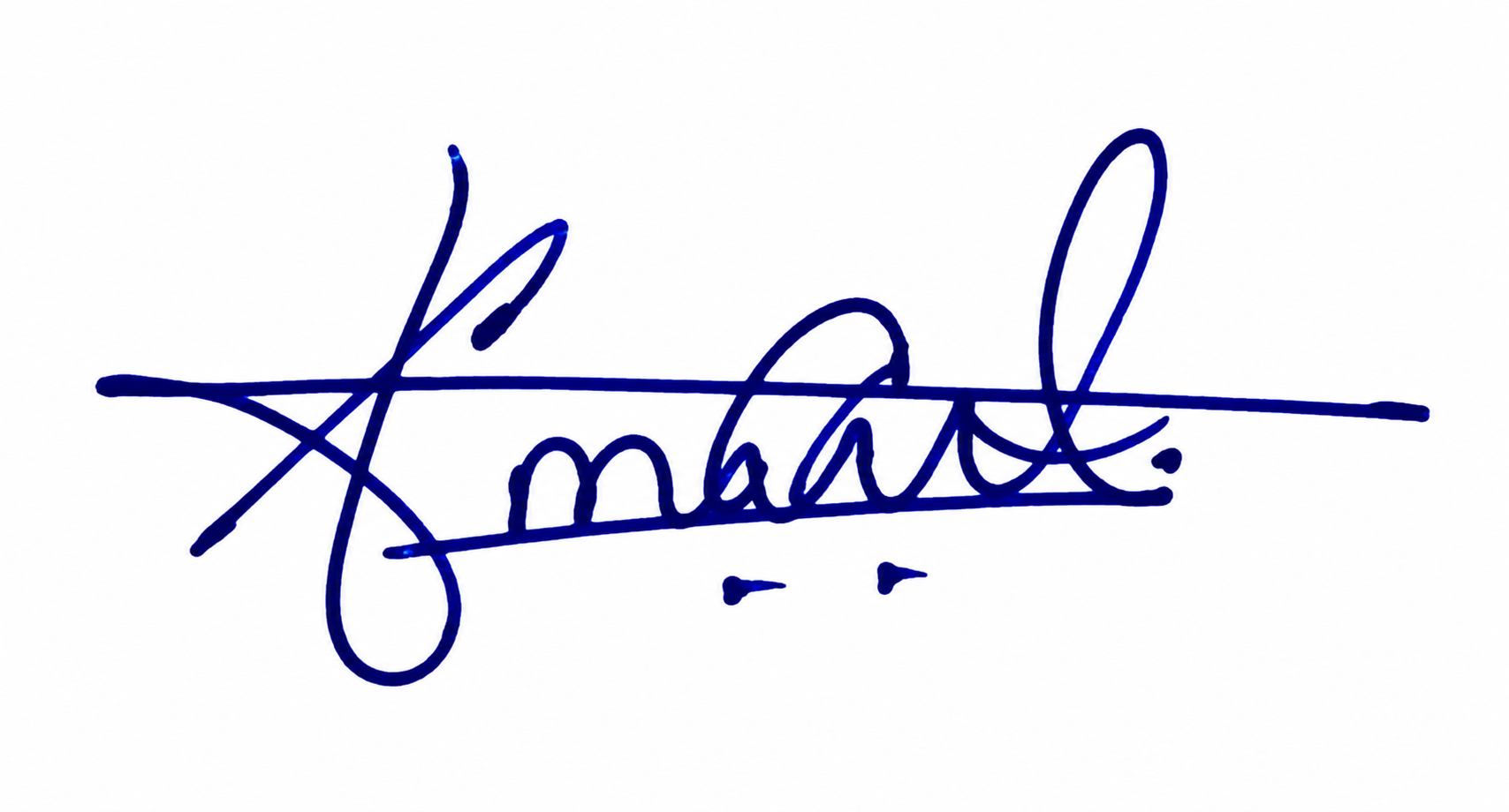Signature preview