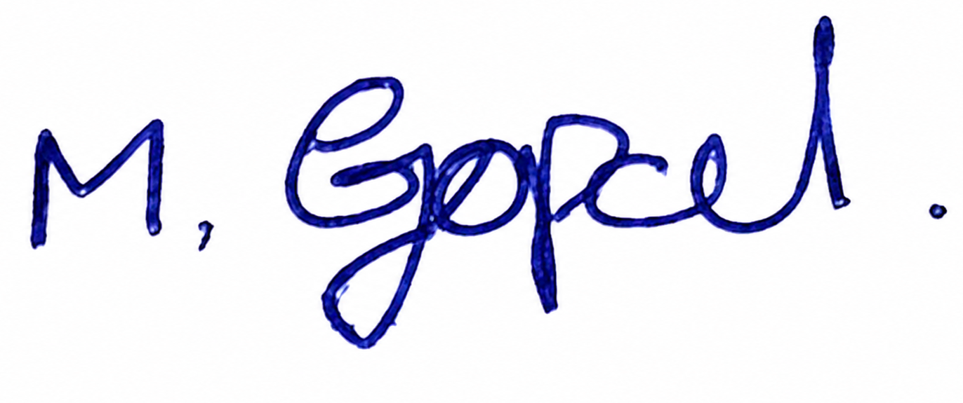 Signature preview