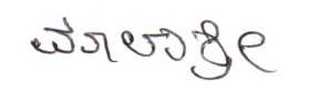 Signature preview