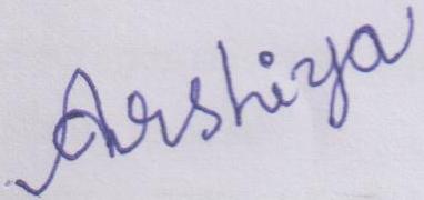 Signature preview