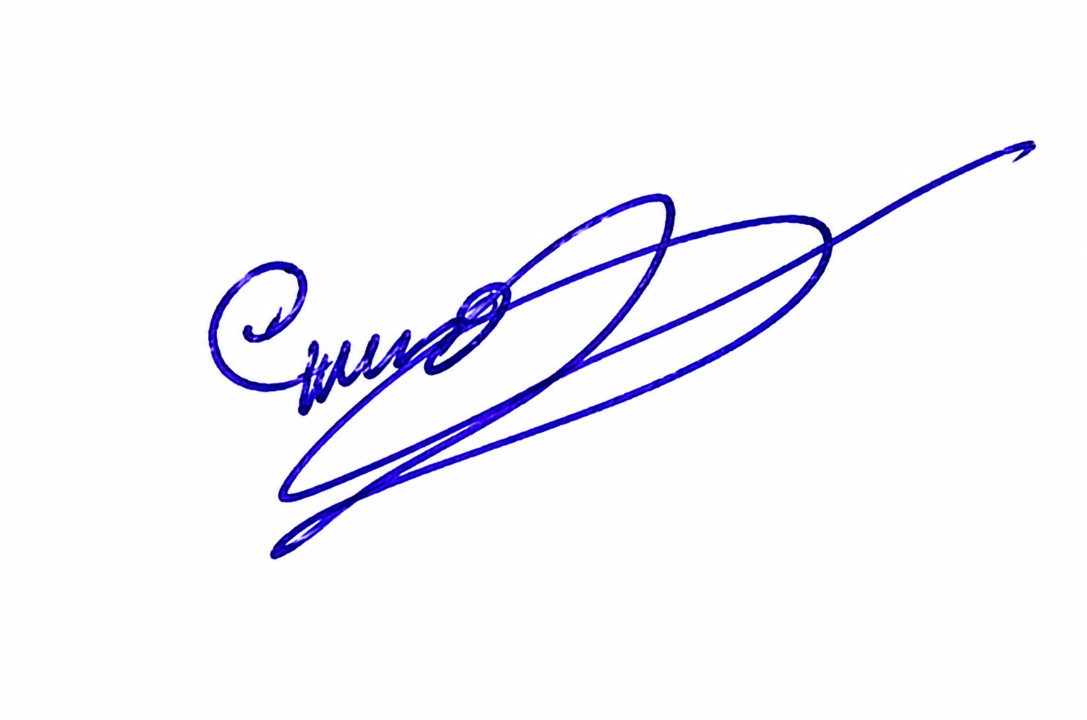 Signature preview