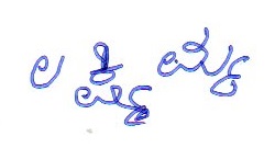 Signature preview