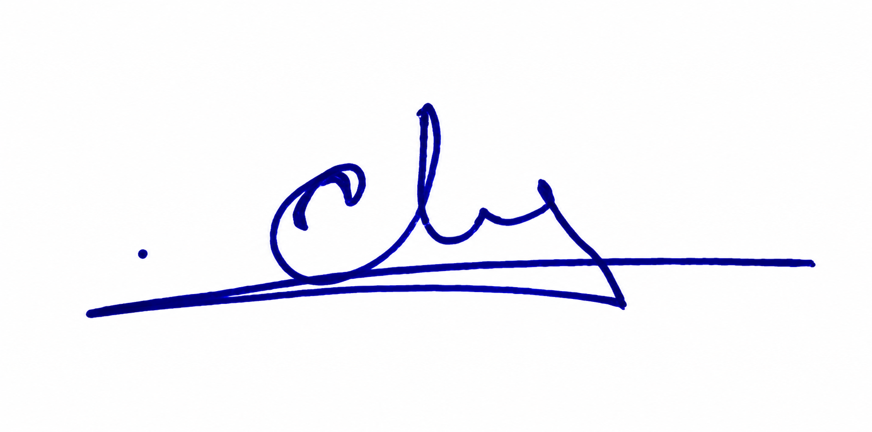Signature preview