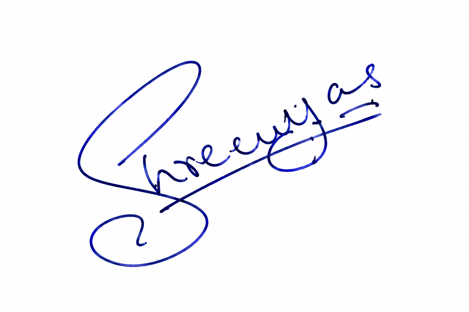 Signature preview