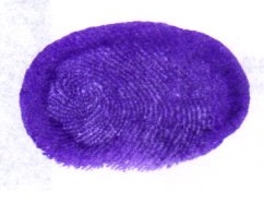 Signature preview