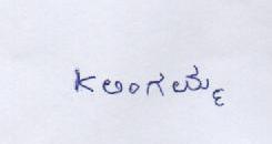 Signature preview