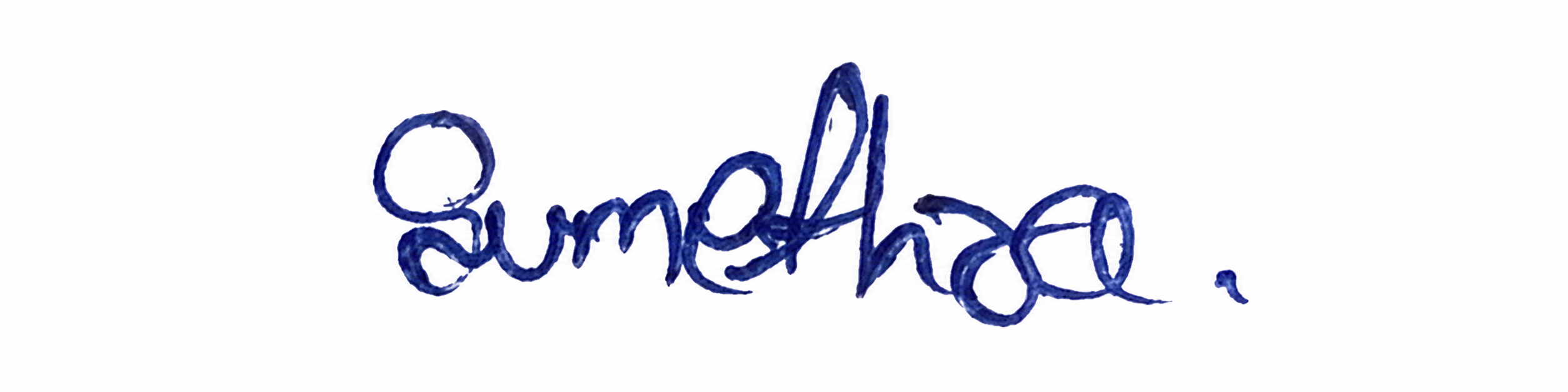 Signature preview