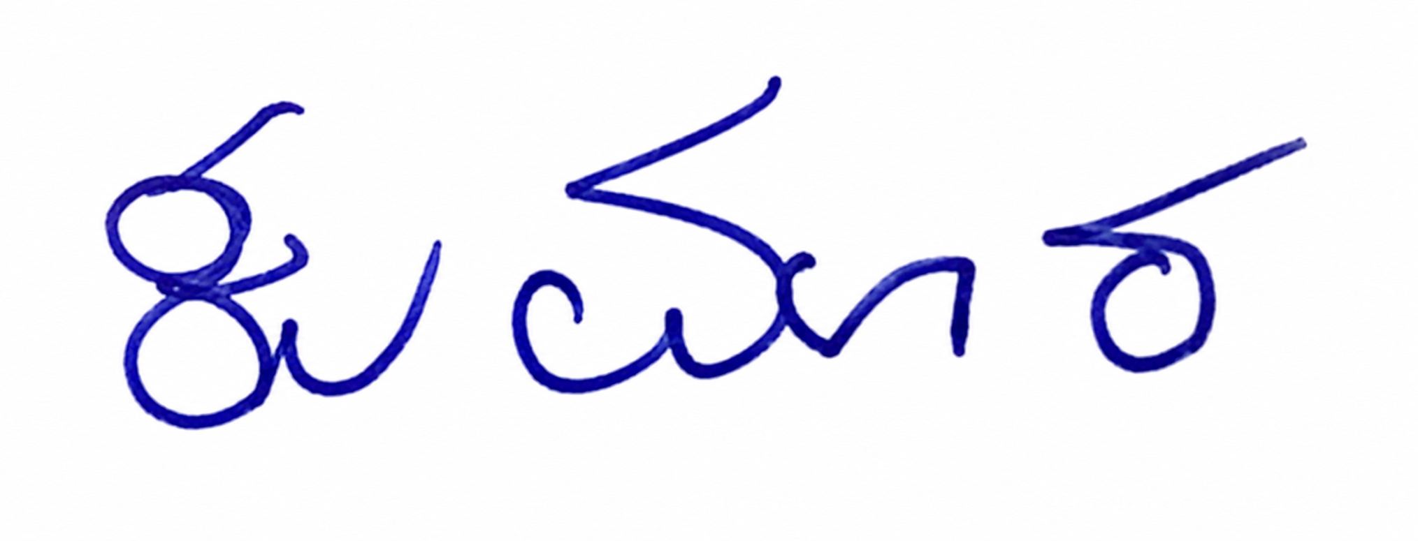 Signature preview