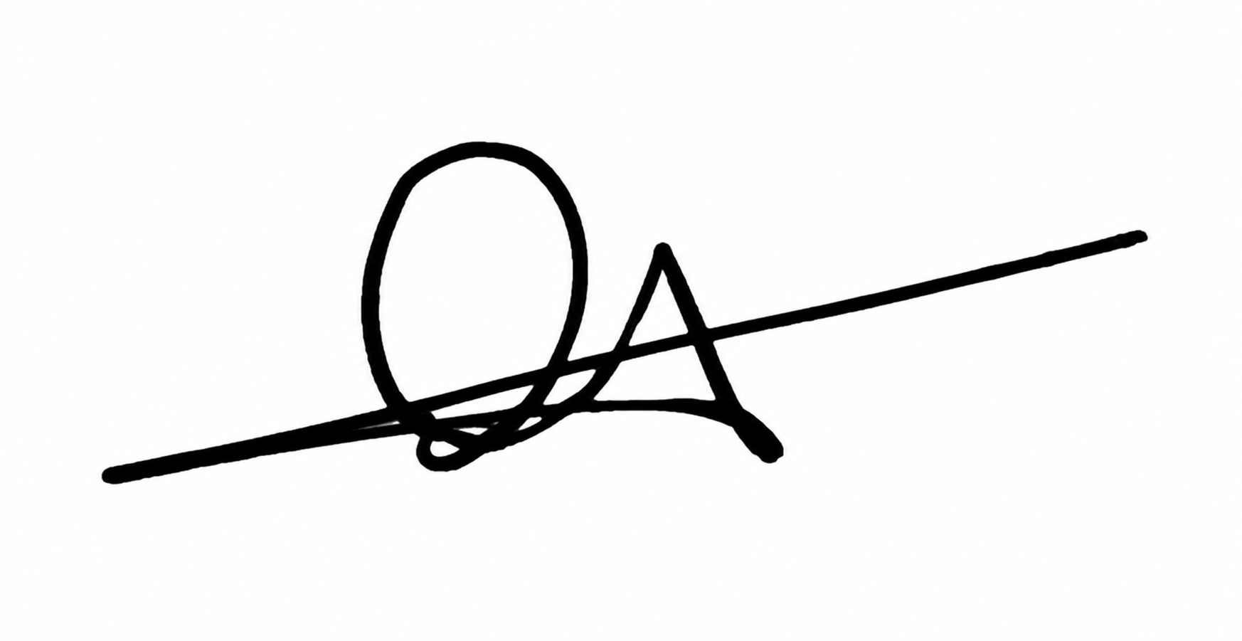 Signature preview