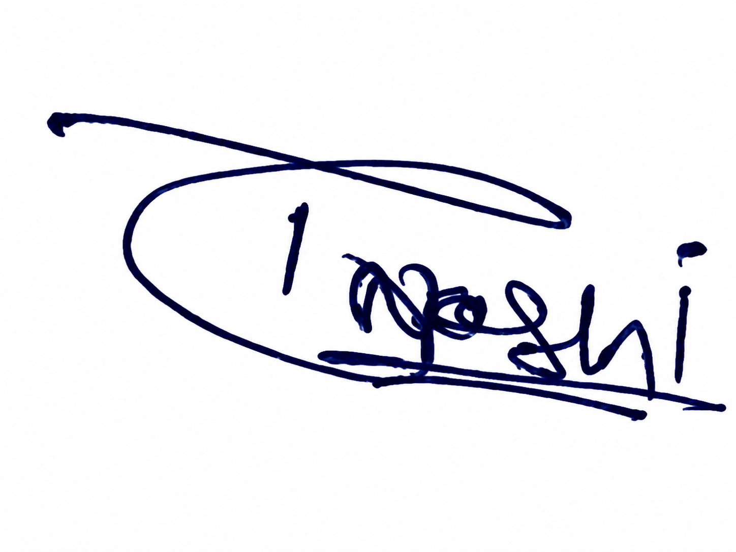 Signature preview